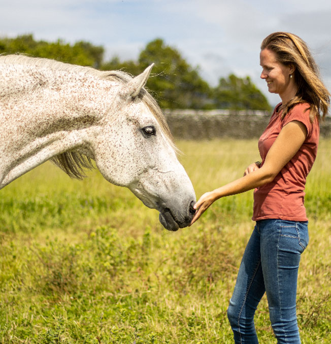 Pangborn-2025-Pangborn-2025-Poster-Sig-Scent-Horse-Feed-blank