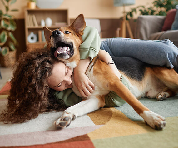 Happy young woman cuddling and playing with dog on a living room floor
